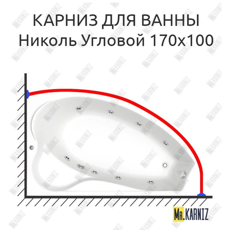 Карниз для ванны Bas Николь Угловой 170х110 Усиленный 20 мм MrKARNIZ Карниз для ванны Bas Николь Угловой 170х110 Усиленный 20 мм MrKARNIZ