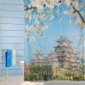 Штора для ванной KYOTO Япония фото 1