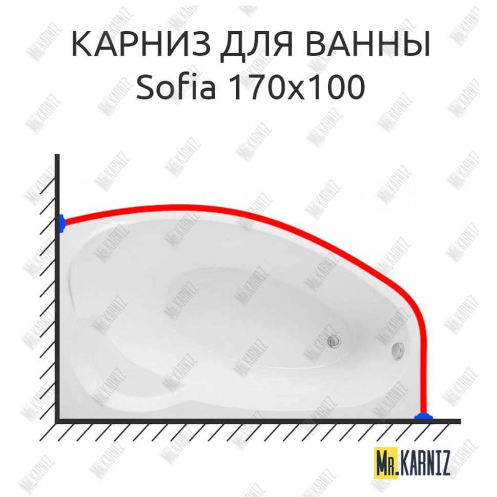 Карниз для ванны Aquanet Sofia 170х100 Усиленный 20 мм MrKARNIZ Карниз для ванны Aquanet Sofia 170х100 Усиленный 20 мм MrKARNIZ